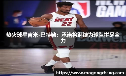 BB贝博登录入口