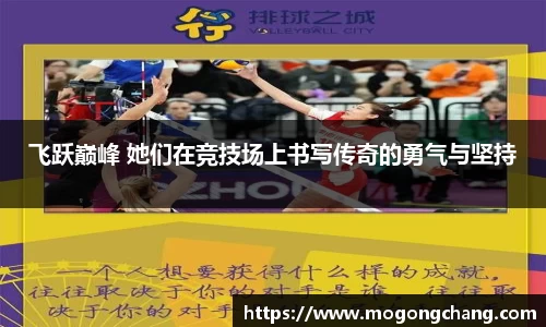 BB贝博登录入口