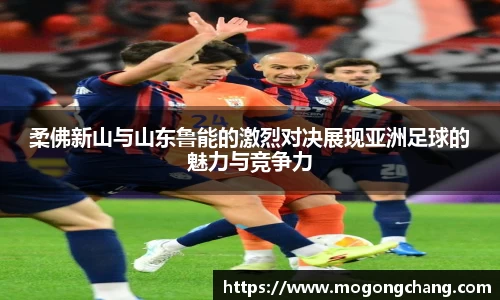 BB贝博登录入口