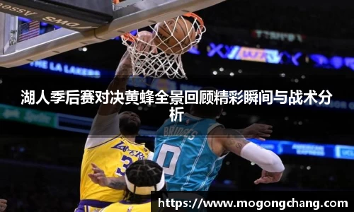 BB贝博登录入口