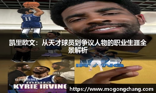 BB贝博登录入口