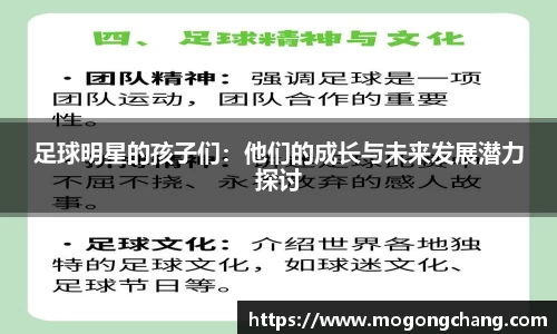 BB贝博登录入口