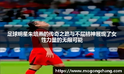 BB贝博登录入口