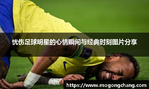 BB贝博登录入口