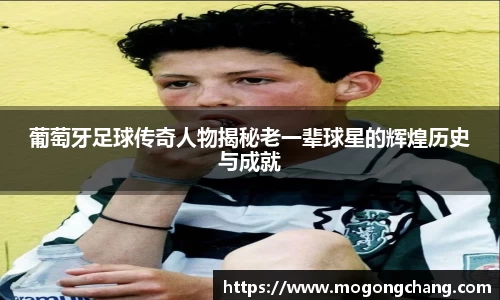 BB贝博登录入口