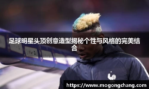 BB贝博登录入口