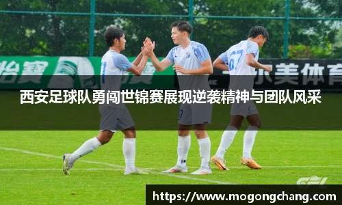 BB贝博登录入口